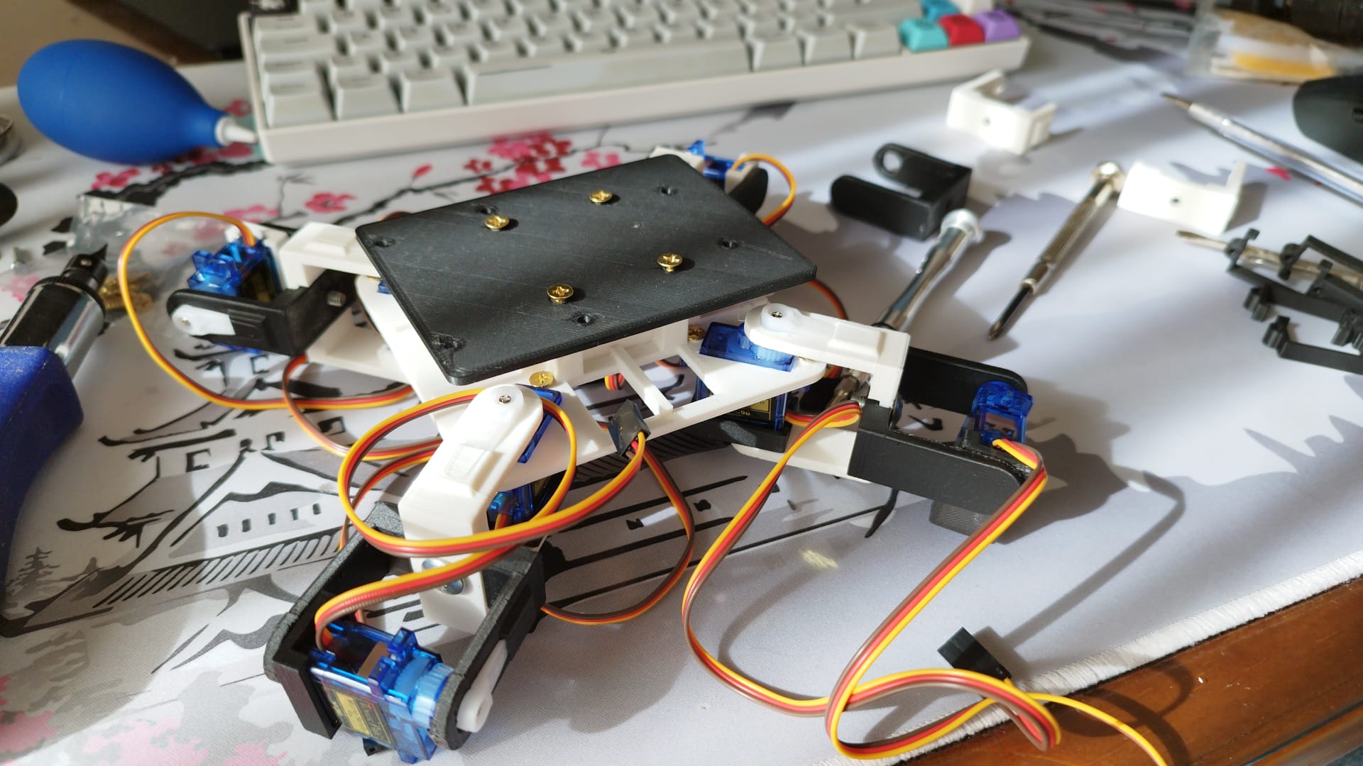 RoboAraña Hardware